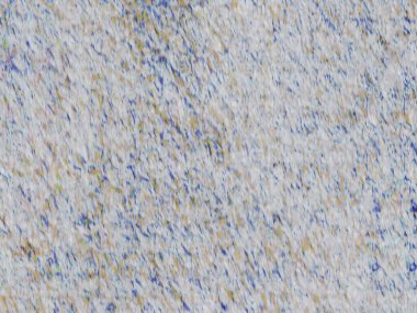 Sanatsal desenli renkler içeren soyut bir sanat eseri, modern estetik duygusunu doğal esinlenmelerle harmanlıyor..