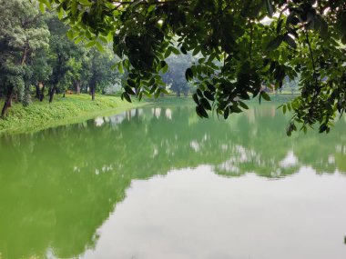 Güzel göl manzarası