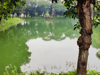 Parkın güzel manzarası