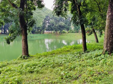 Parkın güzel manzarası