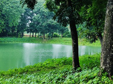 Doğanın güzel manzarası