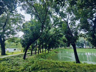 Parkın güzel manzarası