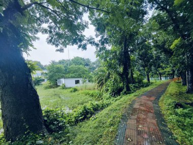 Parkın güzel manzarası