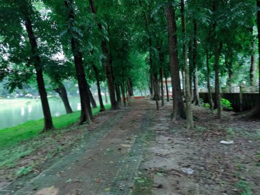 Parkın güzel manzarası