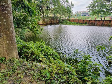 Güzel göl manzarası