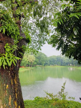 Göllü güzel bir manzara.