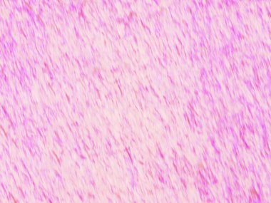 Pürüzsüz şekiller tasarımı, sanatsal renkli tebrik kartı şablonu kullanım alanı reklamcılık, kitap sayfası, resimler, baskı, mobil arka plan, kitap, kapak, ekran koruyucuları, web sayfası,