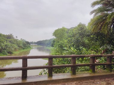 Parktaki güzel nehir