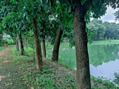Sakin, yeşil bir göl manzarası sık orman bitkileriyle çevrili, yemyeşil yapraklar ve doğal güzellikler sergileniyor. Sükunet, yansıma ve dışarıyla bağlantı kurmak için ideal bir ortam..