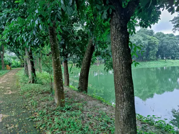 Sakin, yeşil bir göl manzarası sık orman bitkileriyle çevrili, yemyeşil yapraklar ve doğal güzellikler sergileniyor. Sükunet, yansıma ve dışarıyla bağlantı kurmak için ideal bir ortam..