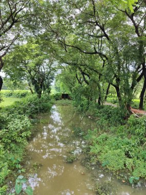 Köyde çeşitli yeşil ağaçlar var. Çeşitli ağaç türlerine sahip bereketli kırsal alan