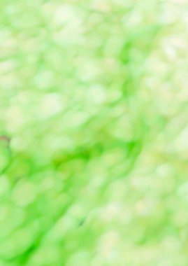 Yeşil soyut arka plan. Yeşil doku arkaplanı