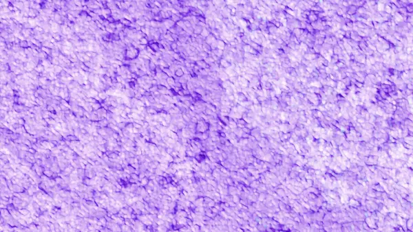 Soyut renkli, yumuşak, sanatsal doku arka planı. Renkler, yumuşak şekiller, desen tasarımı