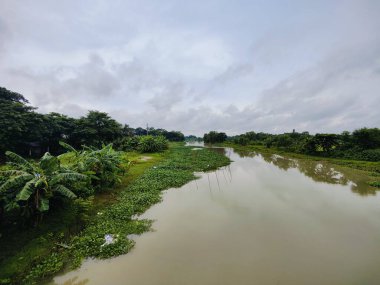 Canlı ağaçlar ve bitki örtüsüyle çevrili verimli yeşil alan, kırsal bölgeleri veya çevresel sakin ortamları temsil etmek için mükemmel bir doğal ortamı yansıtıyor..