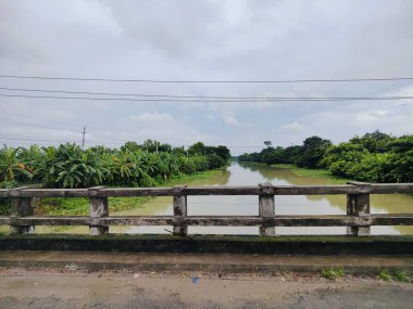 Canlı ağaçlar ve bitki örtüsüyle çevrili verimli yeşil alan, kırsal bölgeleri veya çevresel sakin ortamları temsil etmek için mükemmel bir doğal ortamı yansıtıyor..