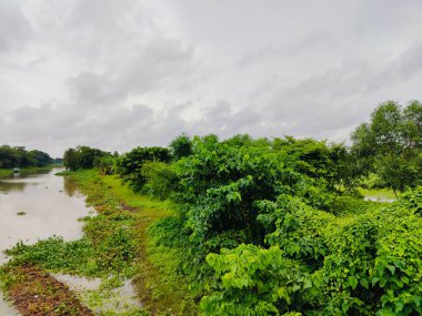 Canlı ağaçlar ve bitki örtüsüyle çevrili verimli yeşil alan, kırsal bölgeleri veya çevresel sakin ortamları temsil etmek için mükemmel bir doğal ortamı yansıtıyor..