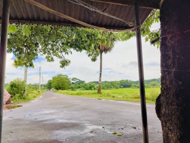 Canlı ağaçlar ve bitki örtüsüyle çevrili verimli yeşil alan, kırsal bölgeleri veya çevresel sakin ortamları temsil etmek için mükemmel bir doğal ortamı yansıtıyor..