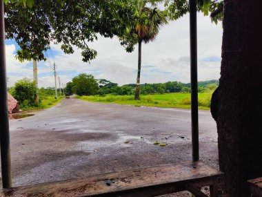 Canlı ağaçlar ve bitki örtüsüyle çevrili verimli yeşil alan, kırsal bölgeleri veya çevresel sakin ortamları temsil etmek için mükemmel bir doğal ortamı yansıtıyor..