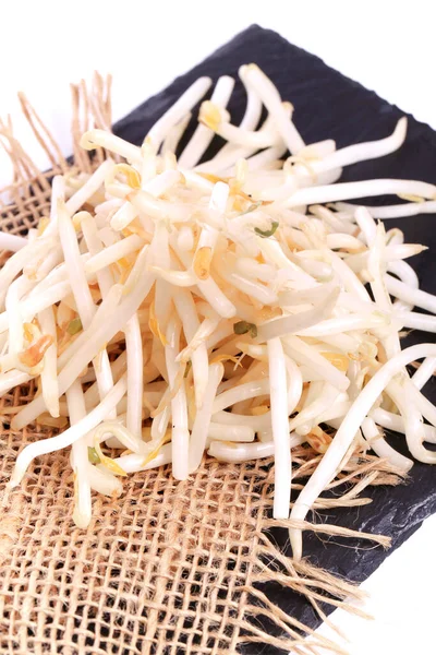 Stock image bean sprout on white background