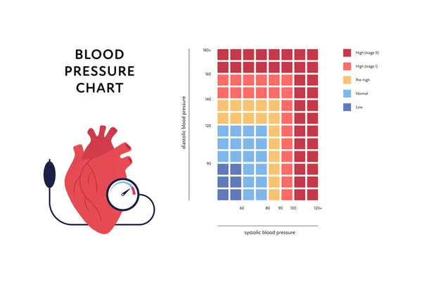 그래픽 일러스트 고혈압 차트는 배경에 분리되어 있습니다 정상적 수준의 기관으로 — 스톡 벡터