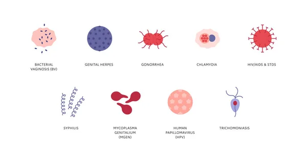 Sexuální Infografika Přenosných Nemocí Vektorové Ploché Zdravotní Ilustrace Barva Ikona — Stockový vektor