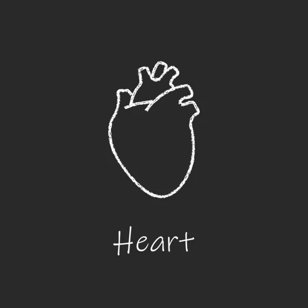 Коллекция Стиле Мела Векторная Белая Линейная Иллюстрация Символ Анатомии Сердца — стоковый вектор