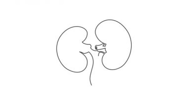 Animasyon taslak simgesi. Sağlık hizmeti vücut parçası koleksiyonu. Böbrekler idrar içi organ sembolü. Beyaz arkaplanda alfa kanallı siyah renk. Basit bir açıklama ve yok oluş animasyonu.