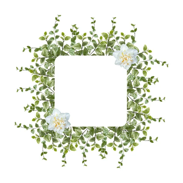 Floral Σύνθεση Πράσινα Φύλλα Και Λεπτό Λευκό Τριαντάφυλλο Λουλούδι Λευκό — Φωτογραφία Αρχείου