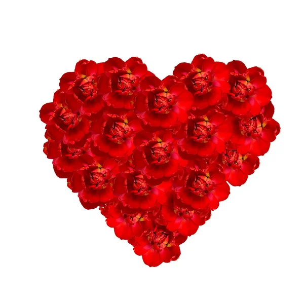 Kalp Şeklinde Çiçek Aranjmanı Kırmızı Çiçekler Beyaz Arka Planda Izole — Stok fotoğraf