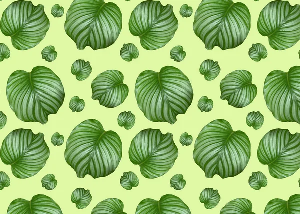 Açık arkaplanda yeşil tropikal yaprakları olan kusursuz bir desen. Tekstil kumaş tasarımı. Tekstil, kartpostallar, duvar kağıtları için tasarım.