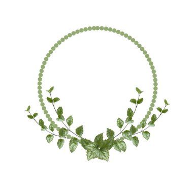 Yuvarlak şekilli çiçek düzenleme. Beyaz arka planda yeşil yapraklar var. Düğün tasarım unsuru. Kutlama çiçek aranjmanı. Kartpostal tasarımı. Yeşil dalların sınırı. Çerçeve yaprakları Boşluğu kopyala.