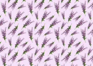 Seamless pattern with sage flowers on light background. Textile fabric design. Design for textiles, cards, wallpapers. Provence style.	