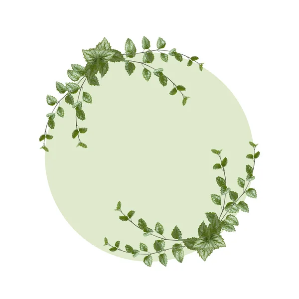 Blumenarrangement Runder Form Grüne Blätter Isoliert Auf Hellgrünem Hintergrund Hochzeitsdesign — Stockfoto