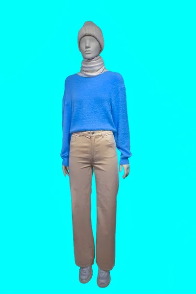 파란색 스웨터를 마네킹 배경에 고립된 갈색의 코르두 리강이 암컷의 — 스톡 사진