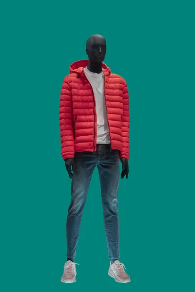 Full length image of a male display mannequin wearing a red hooded quilted padded jacket and blue jeans isolated on a green background