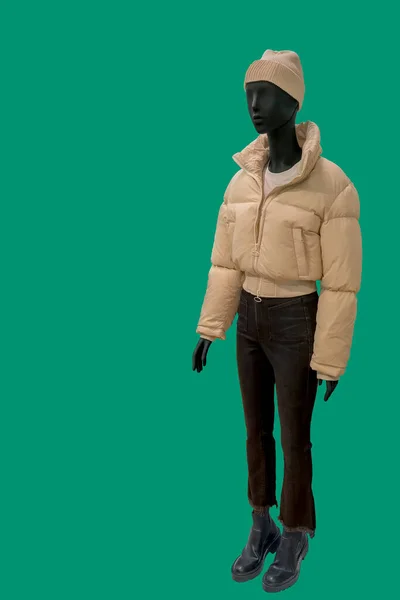 Full length image of a female display mannequin wearing warm quilted padded jacket isolated on green background