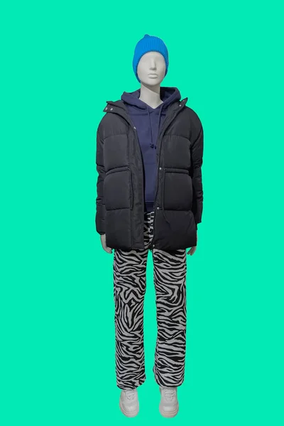 Full length image of a female display mannequin dressed in black quilted padded jacket, hooded sweatshirt and trousers isolated on green background