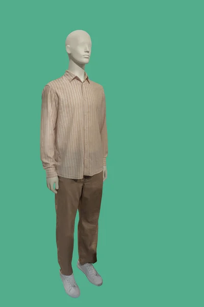 緑の背景に隔離された縞模様のシャツと茶色のズボンを着た男性ディスプレイマネキンの完全な長さの画像 — ストック写真