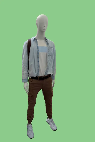 男子身穿浅蓝色夹克和绿色背景的棕色长裤的人体模特的全长图像 — 图库照片