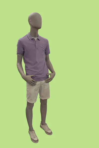 Imagem Completa Manequim Exibição Masculino Vestindo Camiseta Polo Lilás Roupas — Fotografia de Stock