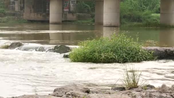 Nehir Akıntısının Resmi Bir Köprünün Sütunlarını Yakalıyor — Stok video