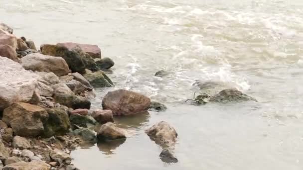 Біжить Річка Камінням Дрібними Скелями Поруч — стокове відео