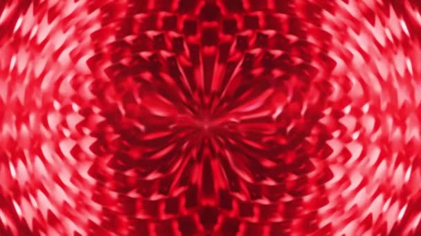 Czerwony Kwiat Stylu Tło Animacja Materiał — Wideo stockowe