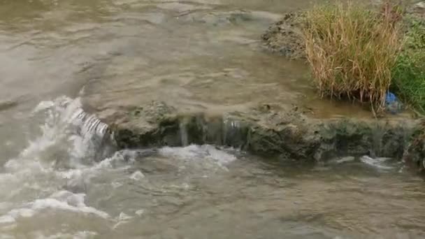 Voda Tekoucí Skály Tráva Roste Skále — Stock video