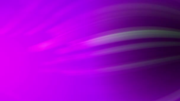 在紫色背景下移动的多彩的模糊线 — 图库视频影像