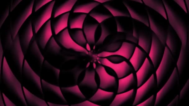 Фіолетові Пелюстки Квітів Прядіння Фону Ілюстрація — стокове відео