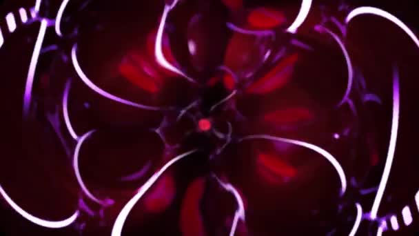 红色花瓣风格的背景动画镜头 — 图库视频影像