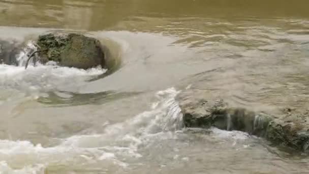 Woda Rzeczna Płynąca Silnie Skałami Trawami Oddzielającymi Kolejną Płynącą Rzekę — Wideo stockowe