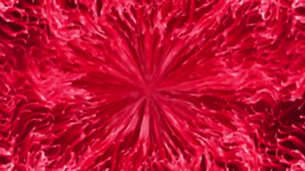 Reddish Ogień Tło Animacja Materiał — Wideo stockowe
