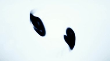 Geri sayım Zamanlayıcısı Bilgisayar Oluşturulmuş Hareketli Grafik Canlandırması